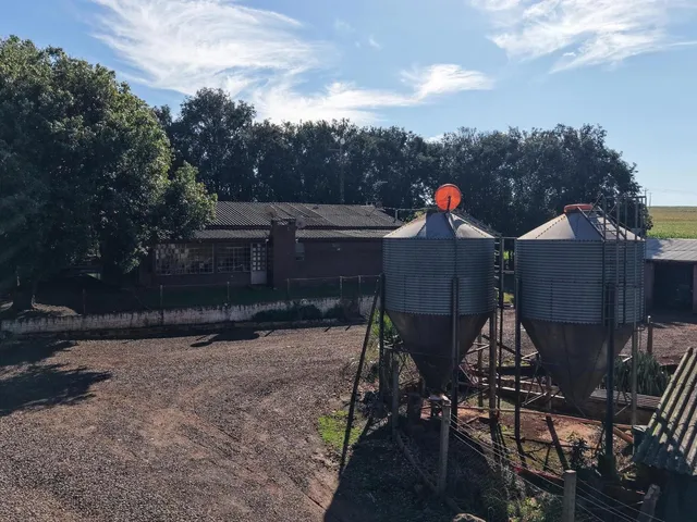 Imagem 13: Área Rural Produtiva | Granja de Suínos | 1,8 Alqueires