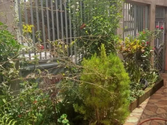 Imagem 5: 0 Casa com 2 dormitórios