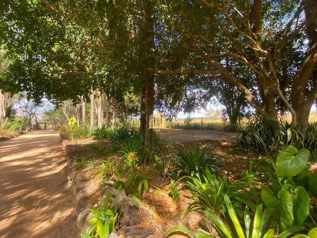 Imagem: SÍTIO À VENDA EM ESMERALDAS/MG