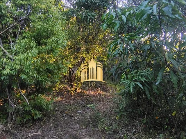 Imagem: SITIO A VENDA RECANTO DA SERRA EM ESMERALDAS/MG