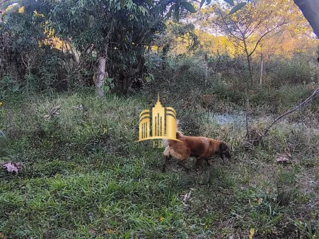 Imagem 6: SITIO A VENDA RECANTO DA SERRA EM ESMERALDAS/MG R$650.000,00