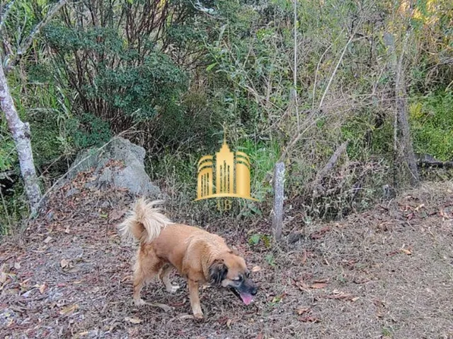 Imagem 5: SITIO A VENDA RECANTO DA SERRA EM ESMERALDAS/MG R$650.000,00