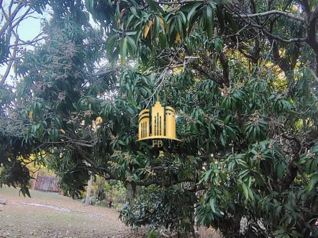 Imagem 15: SITIO A VENDA RECANTO DA SERRA EM ESMERALDAS/MG R$650.000,00