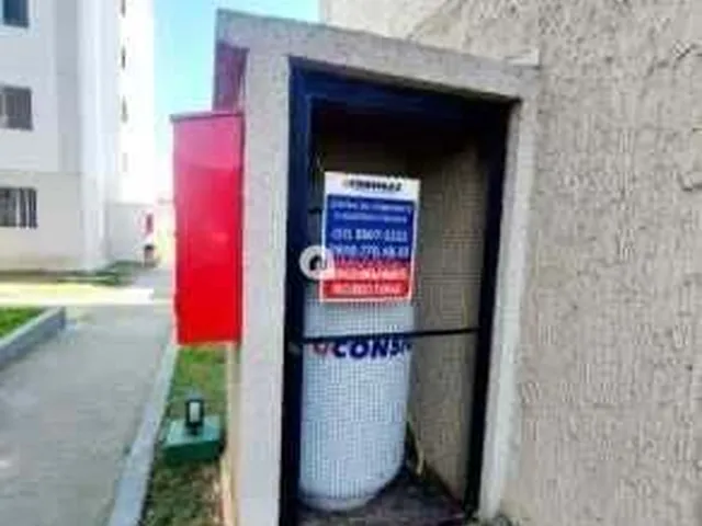 Imagem 9: Apartamento À Venda no Bairro Restinga - Porto Alegre/Rs