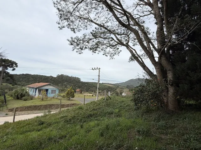 Imagem 11: Terreno em Bateias de Baixo Campo Alegre/SC
