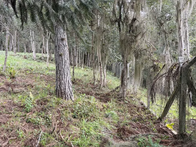 Imagem 14: Terreno em Bateias de Baixo Campo Alegre/SC