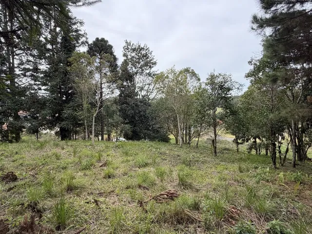 Imagem 2: Terreno em Bateias de Baixo Campo Alegre/SC