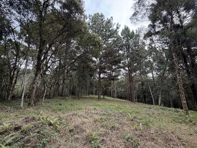 Imagem 4: Terreno em Bateias de Baixo Campo Alegre/SC