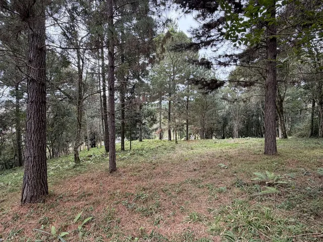 Imagem 6: Terreno em Bateias de Baixo Campo Alegre/SC