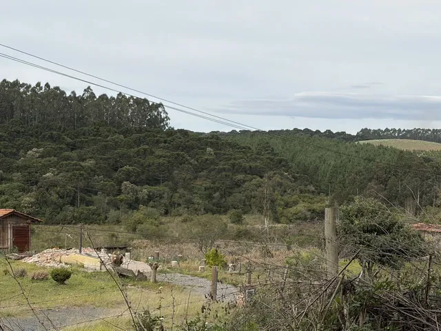 Imagem 16: Terreno em Bateias de Baixo Campo Alegre/SC