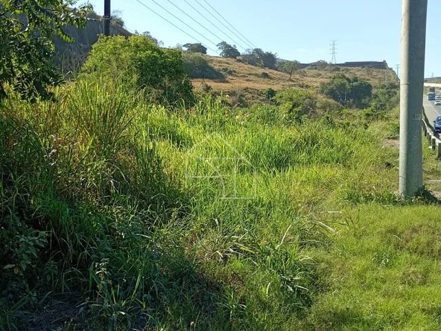 Imagem 14: Área À Venda | Br-101
