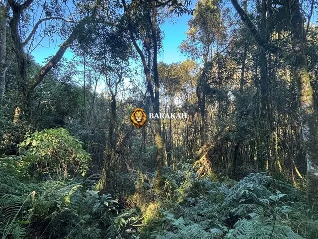 Imagem: Chácara à venda no bairro Fazenda Souza
