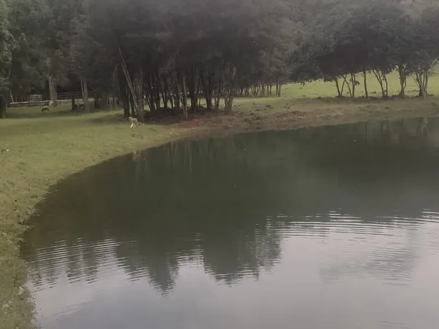 Imagem 7: Chácara 16 Hectares - Forquetinha - Chácara 16 Hectares - Forquetinha
