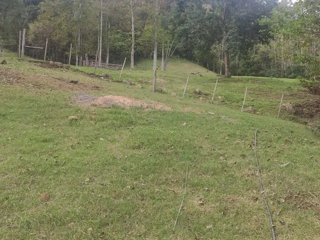 Imagem 5: Chácara 16 Hectares - Forquetinha - Chácara 16 Hectares - Forquetinha