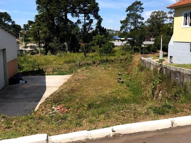 Imagem 5: Terreno Alfândega - Garibaldi - Terreno Alfândega - Garibaldi