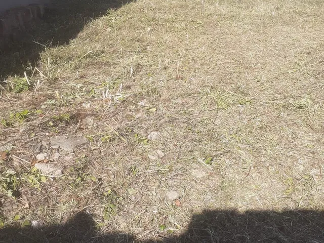 Imagem 8: Lote No Centro De Bagé - Lote No Centro De Bagé