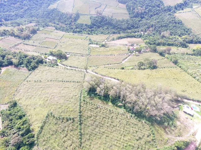 Imagem 4: Chácara - Monte Belo - Chácara - Monte Belo