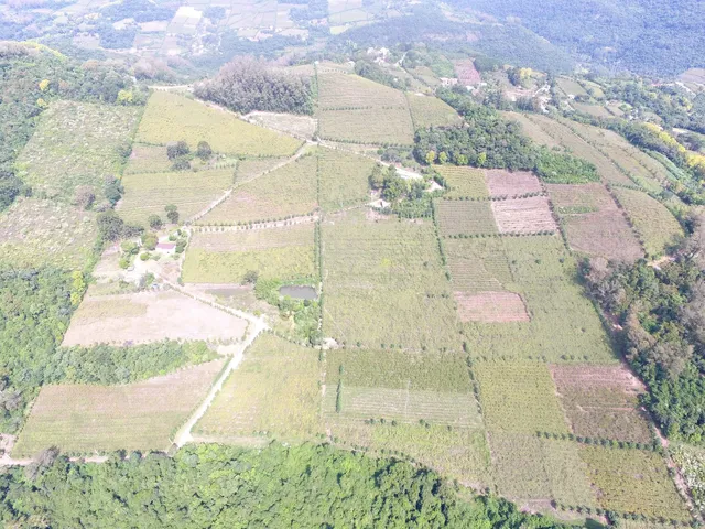 Imagem 10: Chácara - Monte Belo - Chácara - Monte Belo