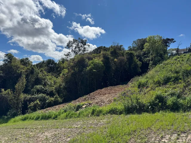 Imagem 6: Veranópolis] Loteamento Solar Norte I e II - [Veranópolis] Loteamento Solar Norte I e