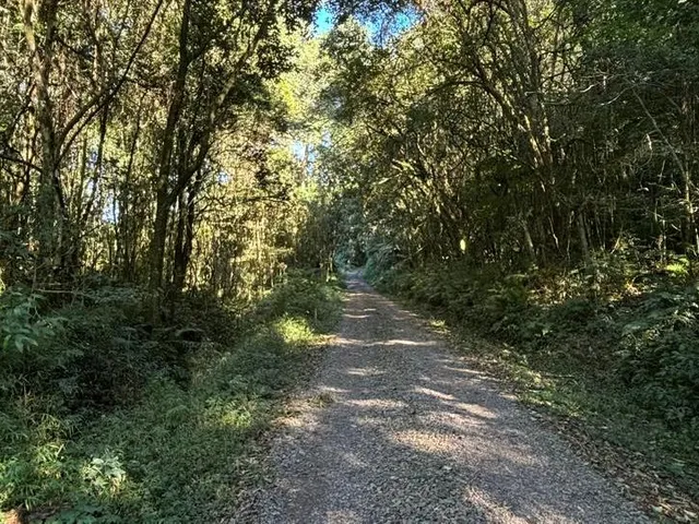 Imagem: Chácaras - Fazenda Souza - Chácaras
