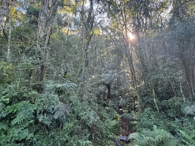 Imagem 3: Chácaras - Fazenda Souza - Chácaras - Fazenda Souza
