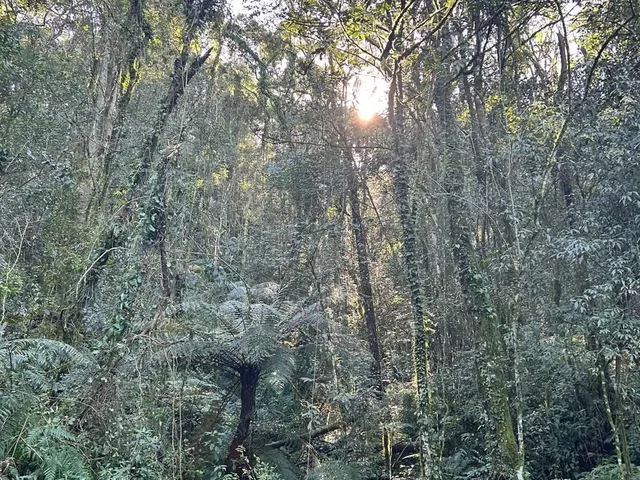 Imagem 5: Chácaras - Fazenda Souza - Chácaras - Fazenda Souza