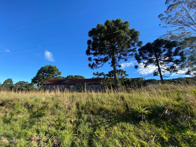 Imagem 4: Terreno no Distrito de Tainhas - Terreno Rota do Sol