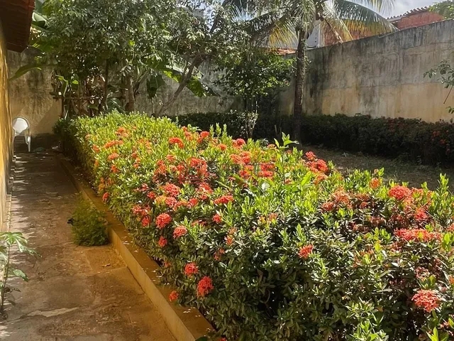 Imagem 16: Casa À Venda no Bairro Vila Lobão - Imperatriz/Ma