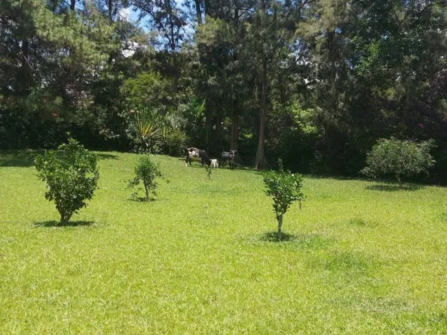 Imagem 9: Sitio 1200m² excelente granja de 3 quartos na estrada da represa de Juiz de Fora Minas