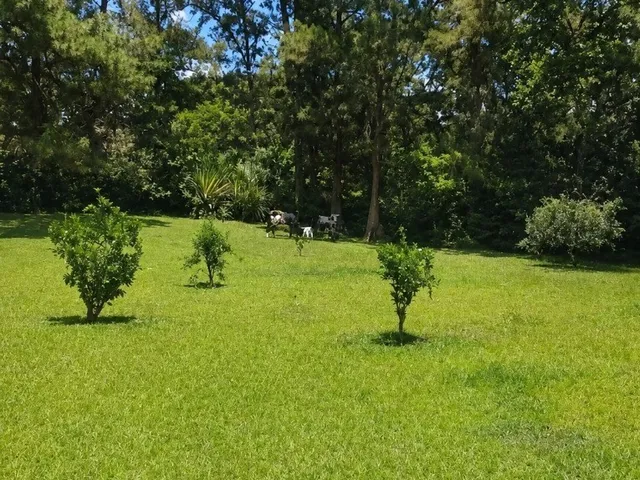 Imagem 6: Sitio 1200m² excelente granja de 3 quartos na estrada da represa de Juiz de Fora Minas