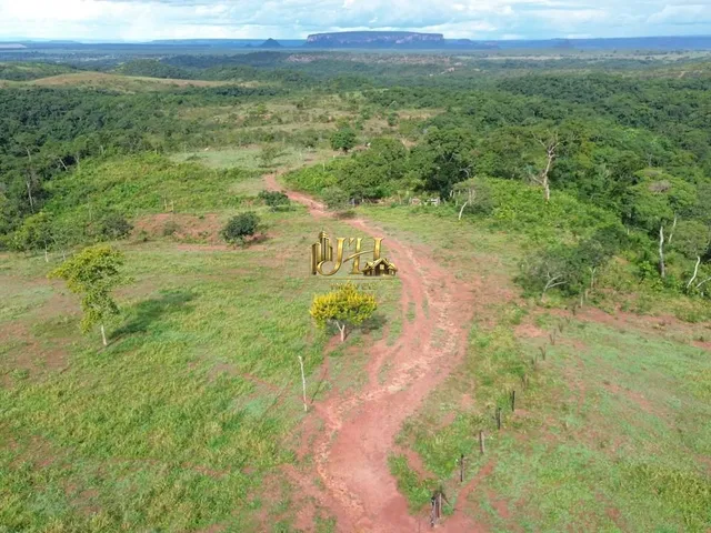 Imagem 2: Fazenda À Venda | Região do Manso