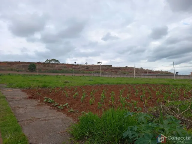 Imagem 3: Terreno à venda, 364 m² por R$ 275.000,00 - Alto dos Caiçaras - Patos de Minas/MG