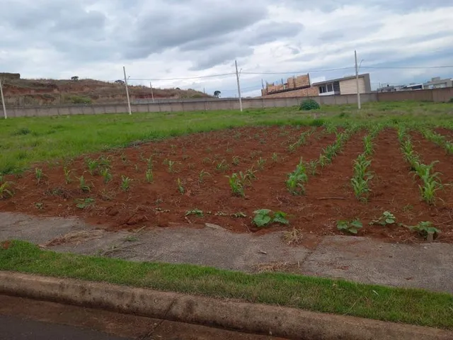 Imagem 2: Terreno à venda, 364 m² por R$ 275.000,00 - Alto dos Caiçaras - Patos de Minas/MG