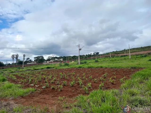 Imagem 4: Terreno à venda, 364 m² por R$ 275.000,00 - Alto dos Caiçaras - Patos de Minas/MG