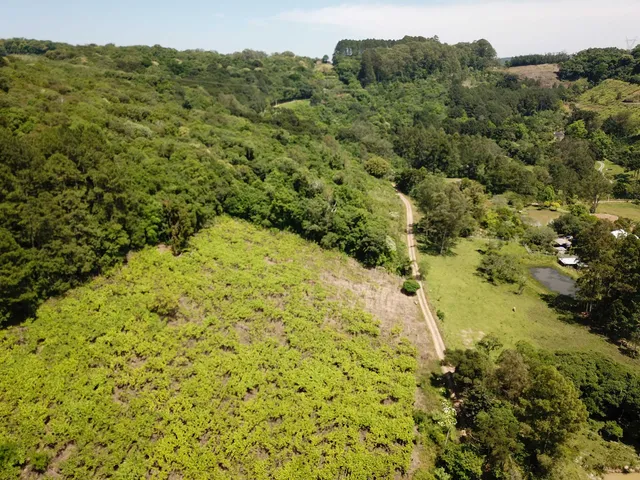 Imagem 6: Colinas Da Uva - Chácara - Colinas Da Uva