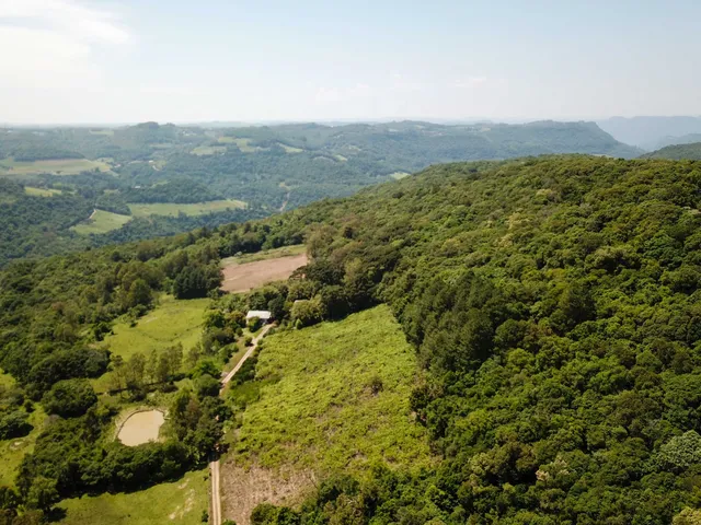 Imagem 3: Colinas Da Uva - Chácara - Colinas Da Uva