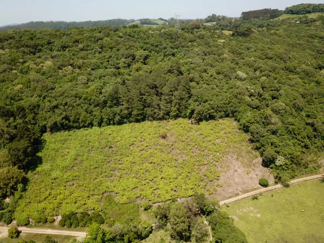 Imagem 8: Colinas Da Uva - Chácara - Colinas Da Uva