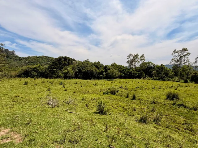 Imagem: Colinas Da Uva - Chácara - Colinas Da Uva