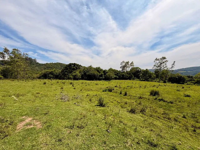 Imagem 5: Colinas Da Uva - Chácara - Colinas Da Uva