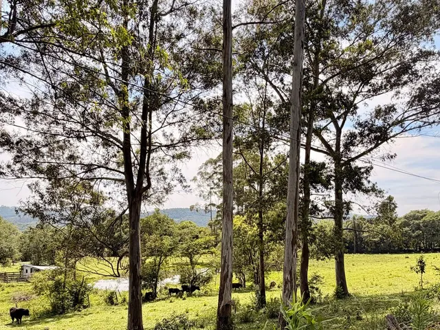 Imagem 4: Colinas Da Uva - Chácara - Colinas Da Uva