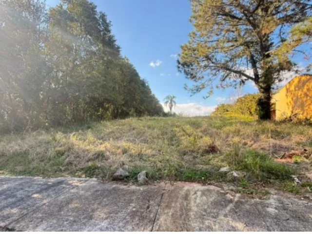Imagem 1: Lotes Avulsos Rua João E. Sulzbach - Lotes Avulsos Rua João E. Sulzbach