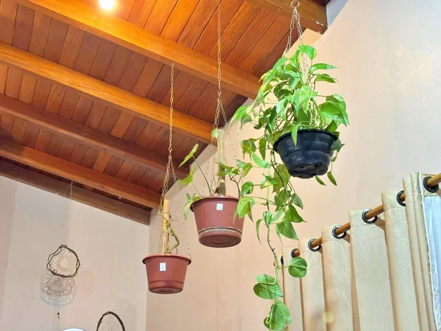 Imagem 8: Casa Faxinal Exclusividade - Casa Faxinal Exclusividade