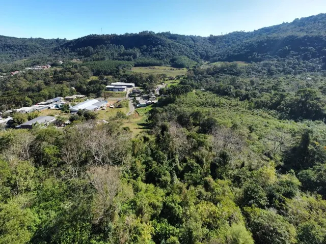 Imagem: Terreno ERS-115 - Terreno à venda no bairro