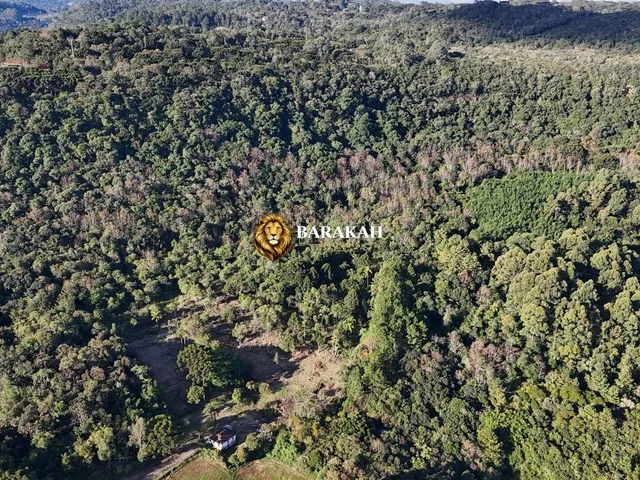 Imagem 7: Sítio À Venda em Área Rural de Gramado - Gramado/Rs