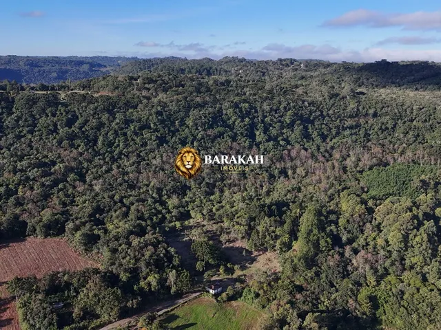Imagem 8: Sítio À Venda em Área Rural de Gramado - Gramado/Rs