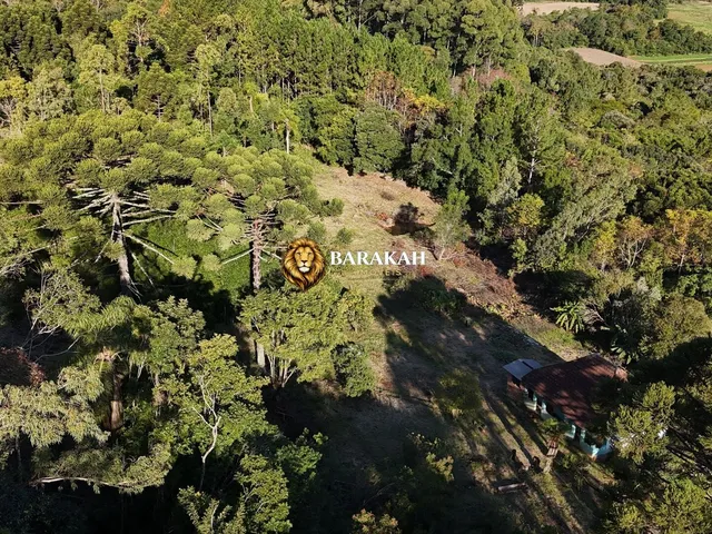 Imagem 9: Sítio À Venda em Área Rural de Gramado - Gramado/Rs