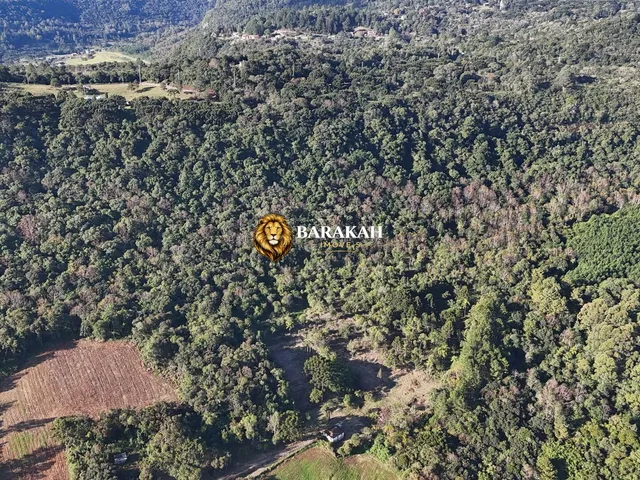 Imagem 5: Sítio À Venda em Área Rural de Gramado - Gramado/Rs