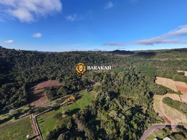 Imagem 4: Sítio À Venda em Área Rural de Gramado - Gramado/Rs