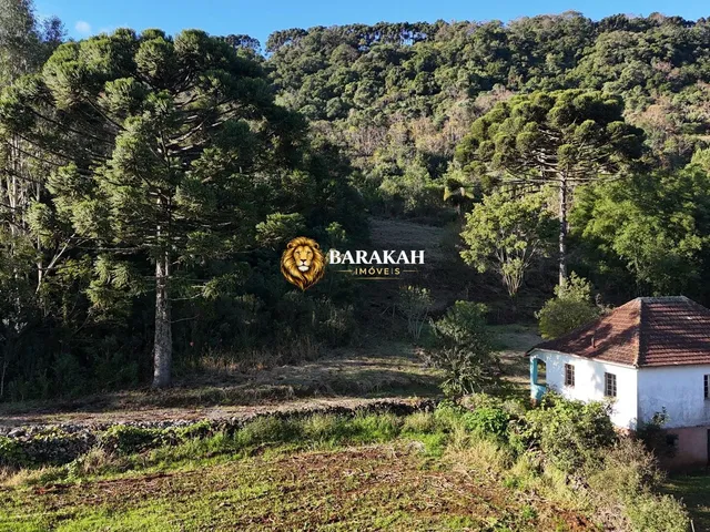 Imagem 11: Sítio À Venda em Área Rural de Gramado - Gramado/Rs