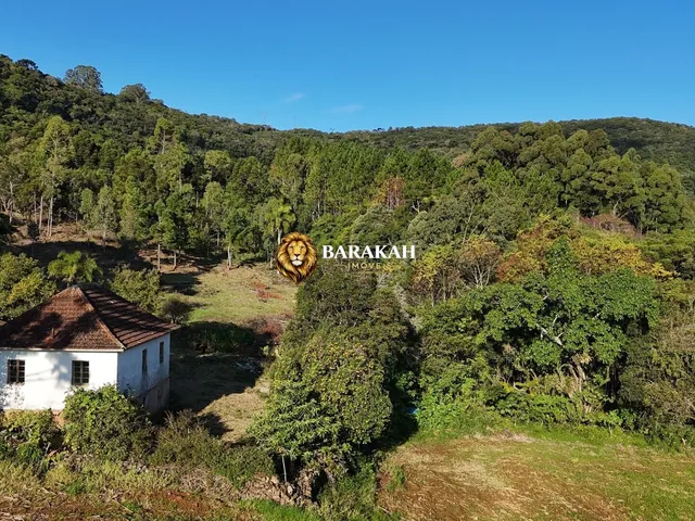 Imagem 3: Sítio À Venda em Área Rural de Gramado - Gramado/Rs